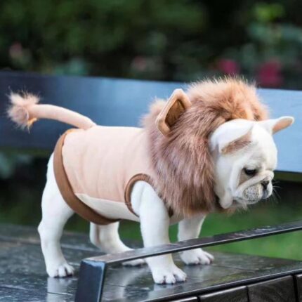 frenchie space shop lion french bulldog costume