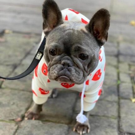 frenchie space shop lovelygremlin french bulldog hoodie