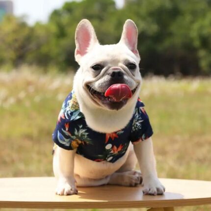 frenchie space shop luau french bulldog shirt