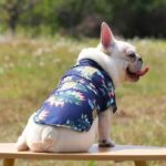 frenchie space shop luau french bulldog shirt