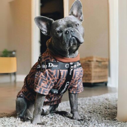 frenchie space shop luxury french bulldog harness