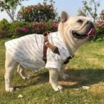 frenchie space shop luxury french bulldog shirt