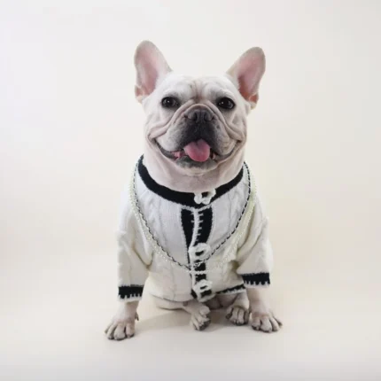 frenchie space shop mademoiselle french bulldog sweater