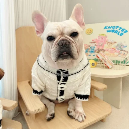 frenchie space shop mademoiselle french bulldog sweater
