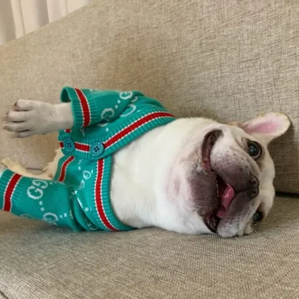 frenchie space shop mintgreen french bulldog cardigan