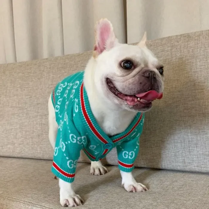 frenchie space shop mintgreen french bulldog cardigan