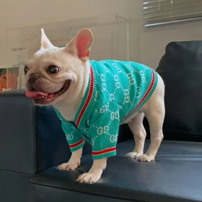 frenchie space shop mintgreen french bulldog cardigan