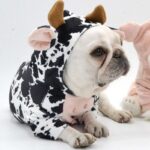 frenchie space shop moo-moo french bulldog hoodie