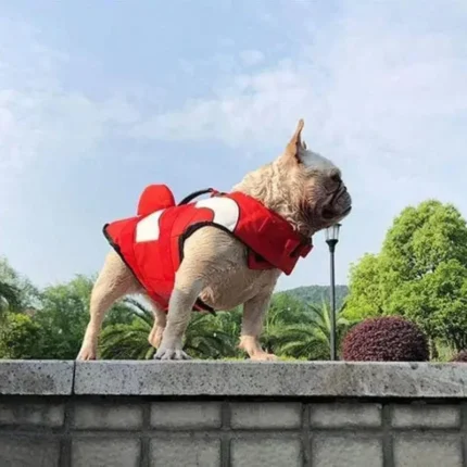 frenchie space shop nemo french bulldog life jacket