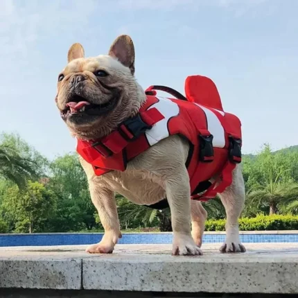 frenchie space shop nemo french bulldog life jacket