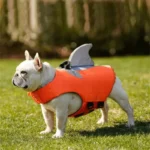 frenchie space shop neon french bulldog life jacket
