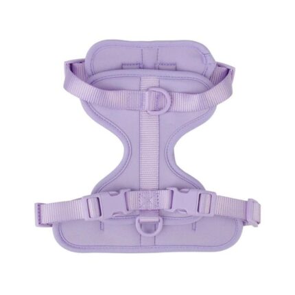 frenchie space shop no-pull french bulldog harness