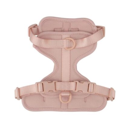 frenchie space shop no-pull french bulldog harness