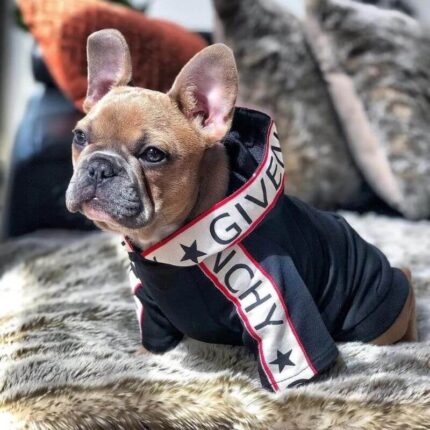 frenchie space shop pawenchy french bulldog hoodie
