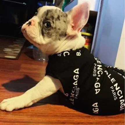 frenchie space shop pawlenciaga french bulldog t-shirt