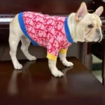 frenchie space shop pink&navy french bulldog sweater