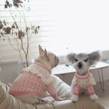 frenchie space shop pinky french bulldog sweater