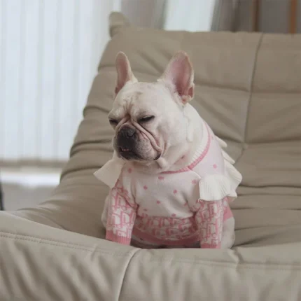 frenchie space shop pinky french bulldog sweater