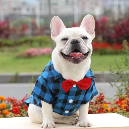 frenchie space shop plaid elegance frenchie shirt