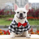 frenchie space shop plaid elegance frenchie shirt