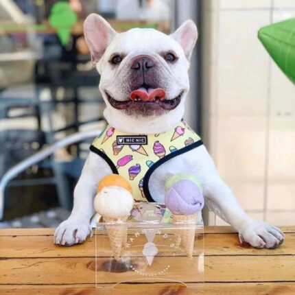 frenchie space shop pupcream french bulldog harness