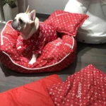 frenchie space shop pupreme french bulldog bed