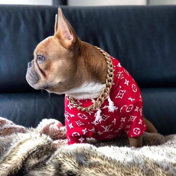 frenchie space shop pupreme french bulldog hoodie