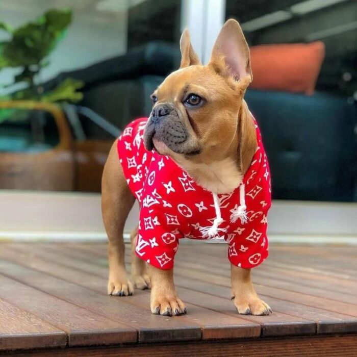 frenchie space shop pupreme french bulldog hoodie