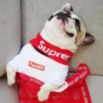 frenchie space shop pupreme french bulldog tshirt