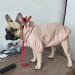 frenchie space shop reindeer french bulldog hoodie