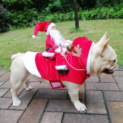 frenchie space shop riding santa french bulldog costume