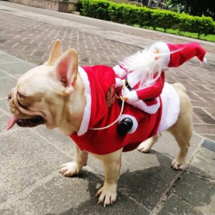 frenchie space shop riding santa french bulldog costume