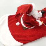 frenchie space shop riding santa french bulldog costume