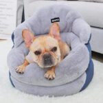 frenchie space shop snuggle french bulldog bed