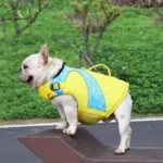 frenchie space shop splashy frenchie life jacket