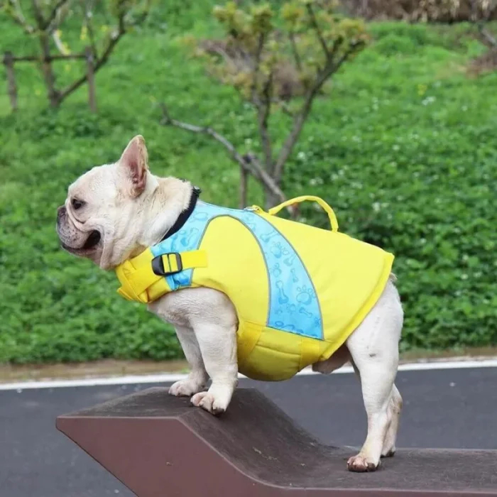 frenchie space shop splashy frenchie life jacket