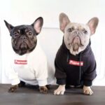 frenchie space shop streetstyle frenchie hoodie