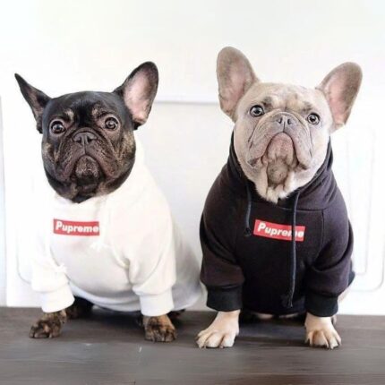 frenchie space shop streetstyle frenchie hoodie