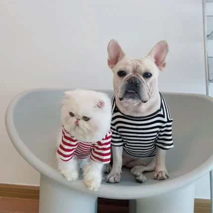 frenchie space shop striped french bulldog t-shirt