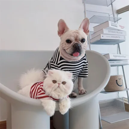 frenchie space shop striped french bulldog t-shirt