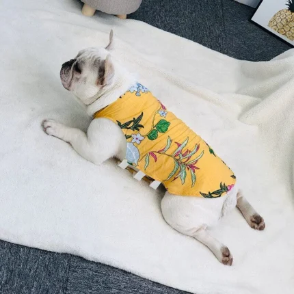 frenchie space shop summer cooling french bulldog vest