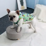 frenchie space shop summer cooling french bulldog vest