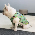 frenchie space shop summer cooling french bulldog vest