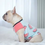 frenchie space shop summer slice frenchie top
