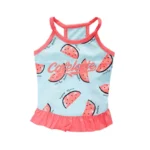 frenchie space shop summer slice frenchie top