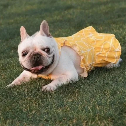 frenchie space shop sunny french bulldog dress