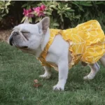 frenchie space shop sunny french bulldog dress