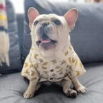 frenchie space shop sunsea french bulldog shirt