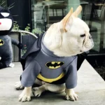 frenchie space shop super frenchie costume