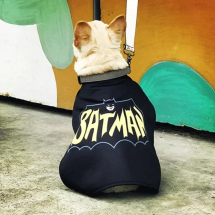 frenchie space shop super frenchie costume
